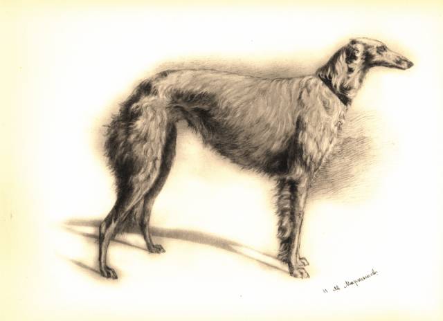 martynow plate 8