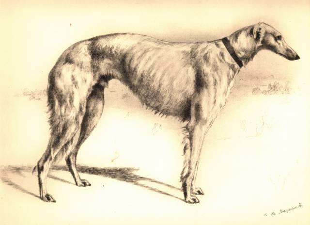 martynow plate 10