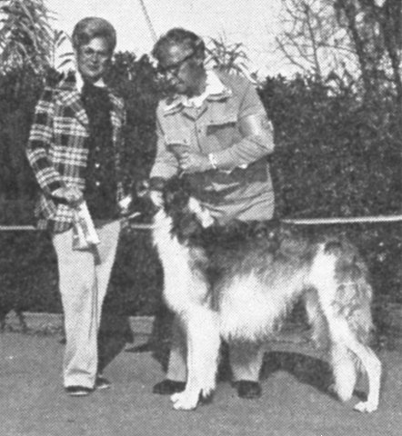 picture of
the Borzoi Ch Perchotins Byankaj Gabriel